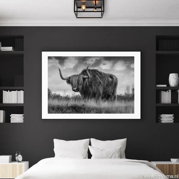Shop Straluma Plafondlamp vierkant zwart open frame