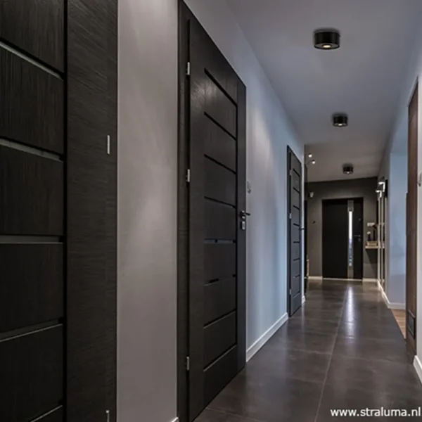 plafondspot_cilinder_plat_4.webp Best Straluma Plafondspot cilinder plat gu10