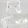 plafondspot_halo_l_rond_w_3.webp Cheap Straluma Plafondspot Halo 2L rond wit