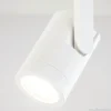 Hot Straluma Plafondspot Halo 1L wit gu10