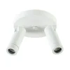 plafondspot_miller_l_witg_0.webp Cheap Straluma Plafondspot Miller 2l wit/goud pucc