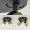 plafondspot_razza_l_rond__3-3.webp Store Straluma Plafondspot Razza 2L rond zwart/goud