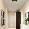 plafondspot_razza_l_zwart_4.webp Hot Straluma Plafondspot Razza 2L zwart/goud