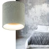 plafondspot_shy_cilinder__4.webp Hot Straluma Plafondspot Shy cilinder beton
