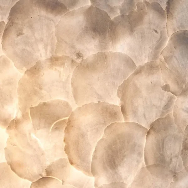 Store Straluma Romantische schelpen wandlamp ivoor