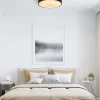 Clearance Straluma Ronde plafondlamp zwart inclusief LED en remote
