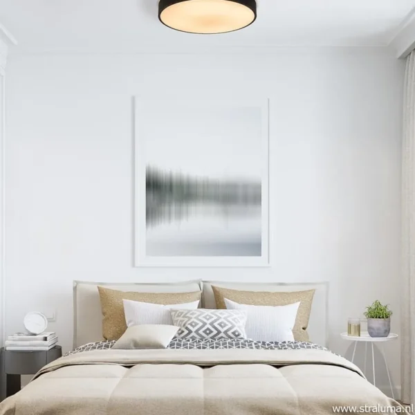 Clearance Straluma Ronde plafondlamp zwart inclusief LED en remote