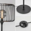 scandinavsiche_vloerlamp__2.webp Sale Straluma Scandinavsiche vloerlamp zwart met draadkorf