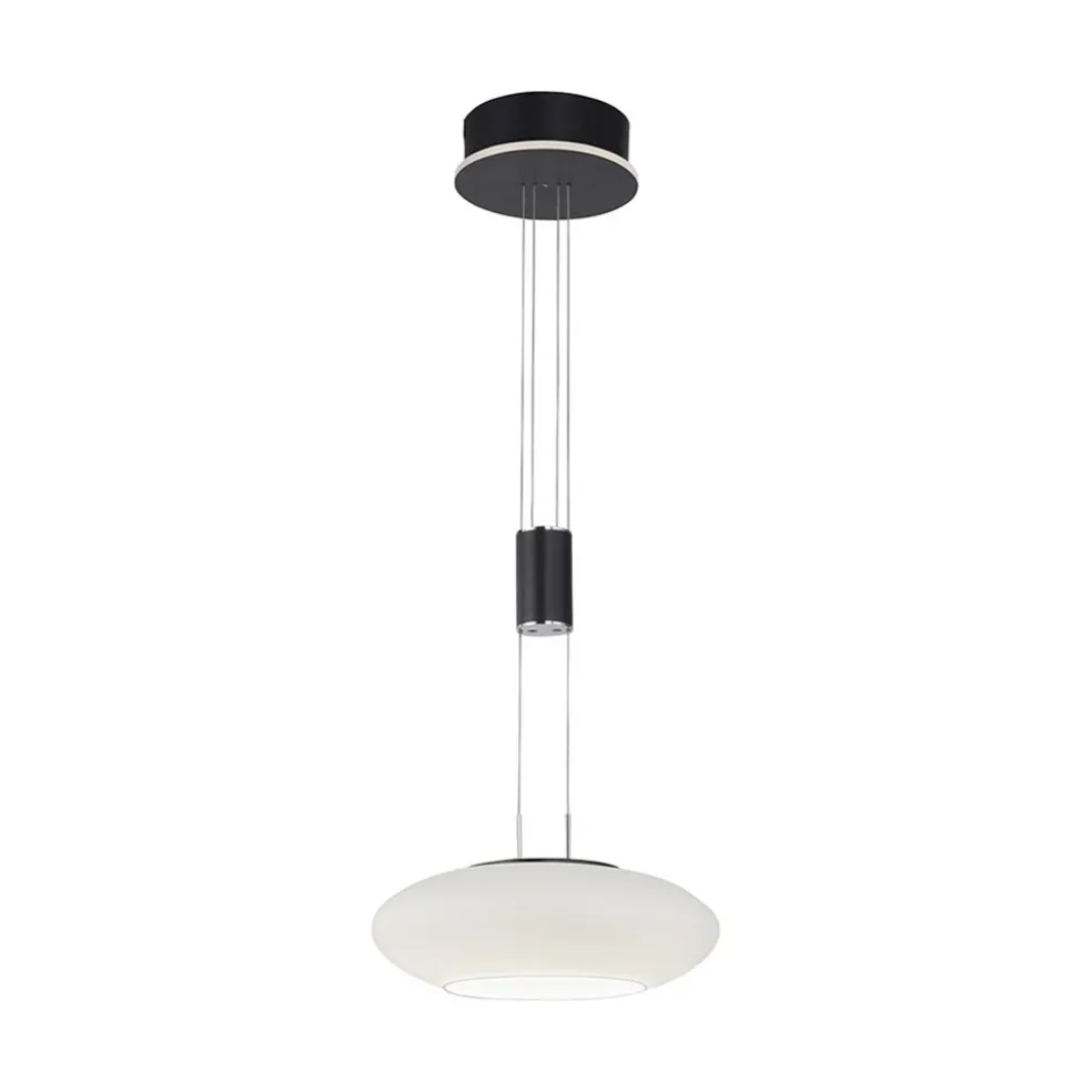 smart_hanglamp_mat_zwart__0-1.webp Store Straluma Smart hanglamp mat zwart met opaal glazen kap