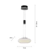 Store Straluma Smart hanglamp mat zwart met opaal glazen kap