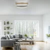 smart_plafondlamp_led_gou_4.webp Flash Sale Straluma Smart Plafondlamp LED goud verstelbaar