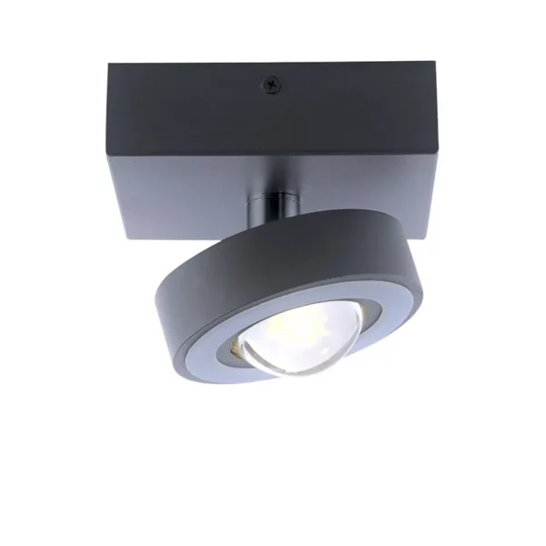 smart_plafondlamp_met_len_0.webp Hot Straluma Smart plafondlamp met lens antraciet