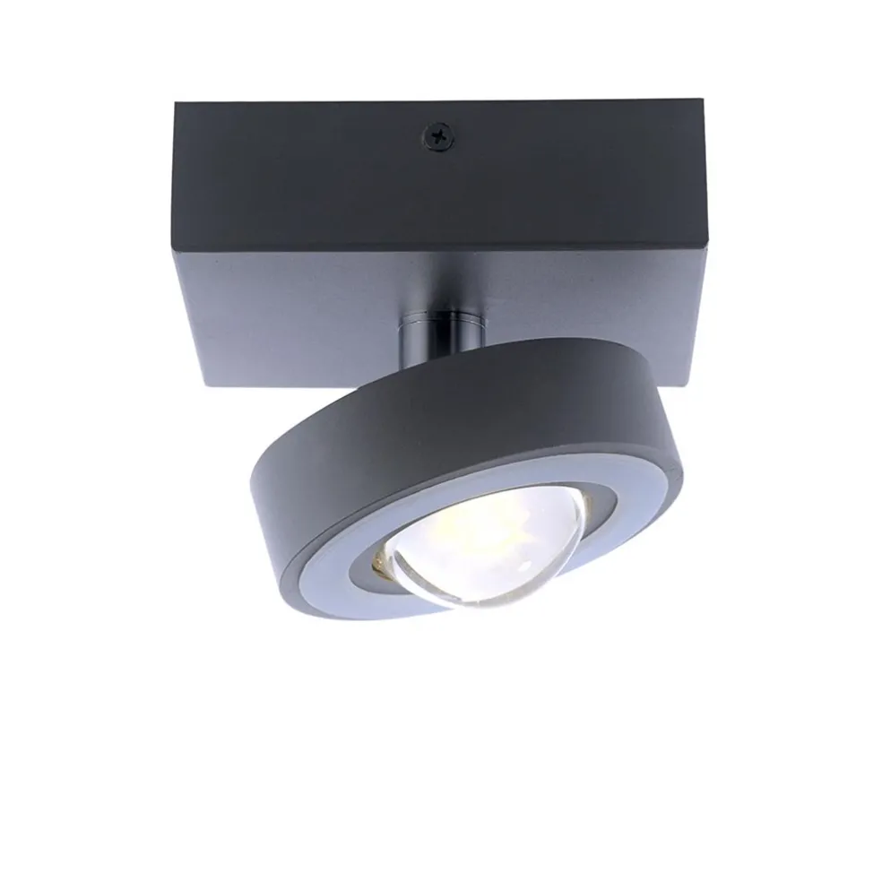 smart_plafondlamp_met_len_0.webp Hot Straluma Smart plafondlamp met lens antraciet