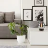 Clearance Straluma Tafellamp Fantasy laag zwart + smoke glas