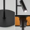trendy_vloerlamp_met_kap__3.webp Cheap Straluma Trendy vloerlamp met kap zwart met goud