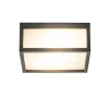vierkante_buitenlamp_dark_2.webp Online Straluma Vierkante buitenlamp dark grey plafond/wand