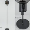 vloerlamp_fantasy_op_stan_1.webp New Straluma Vloerlamp Fantasy op stang zwart + smoke glas